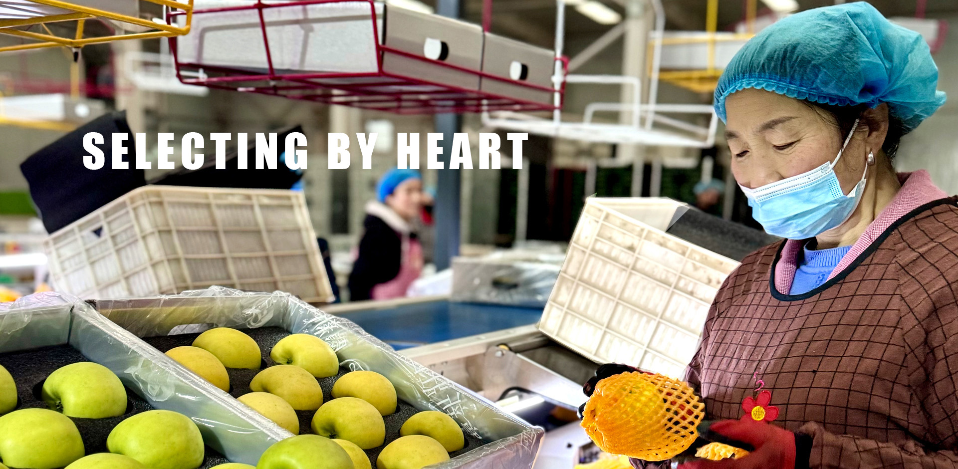 Packaging wｏｒkshop