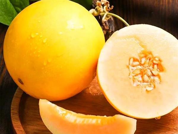 Minqin honeydew melon