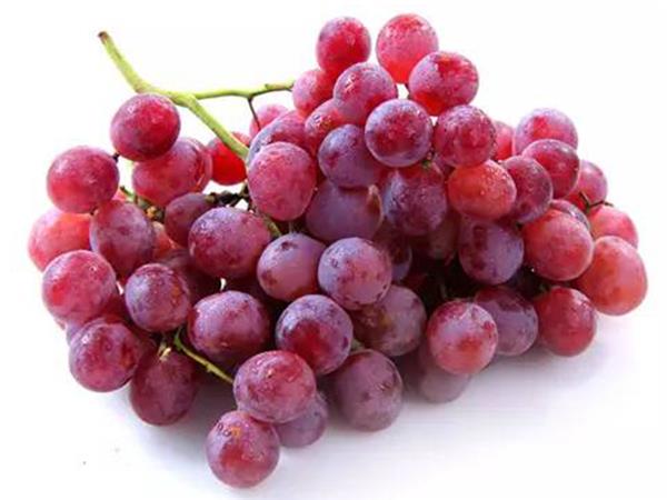 Dunhuang Grapes