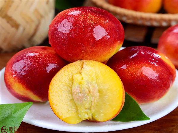 Nectarines