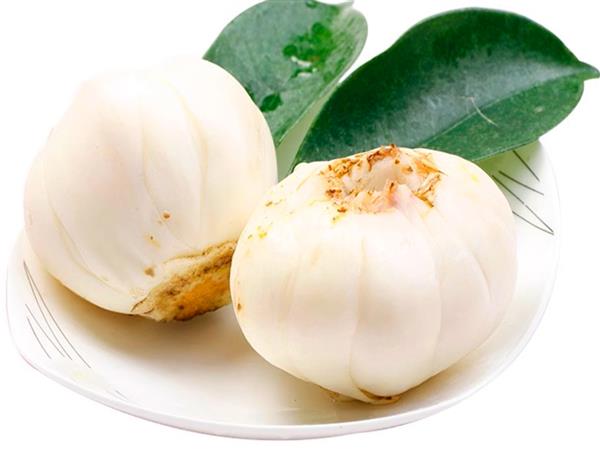 Lanzhou lily bulb