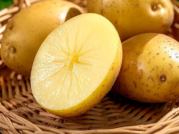 Dingxi Potato