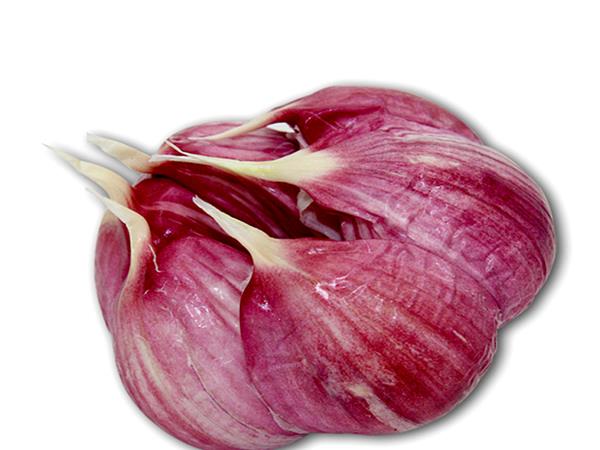 Minle Purple Garlic