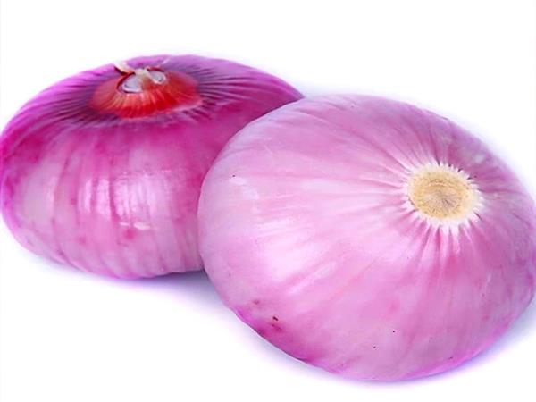 Hexi Corridor Onions