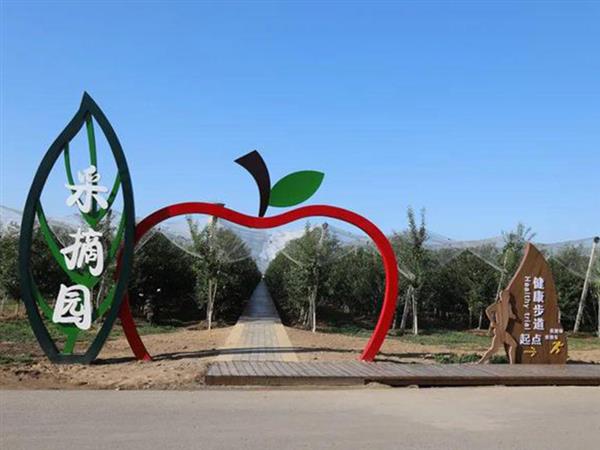 Qingyang Apples: Premium Fruits from the Loess Plateau