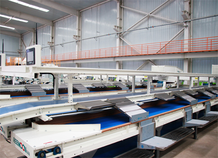 Tsingon Farm: Where Precision Meets Passion in Every Apple