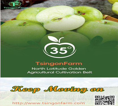 TsingonFarm, keep moving on in 2026