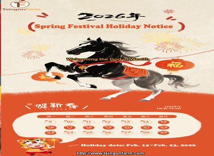 Holiday Notice of 2026 Chinese Spring Festival